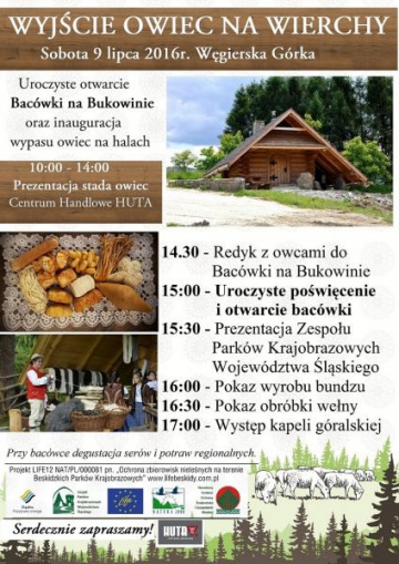 Wyjście owiec na wierchy