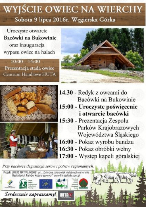 Wyjście owiec na wierchy
